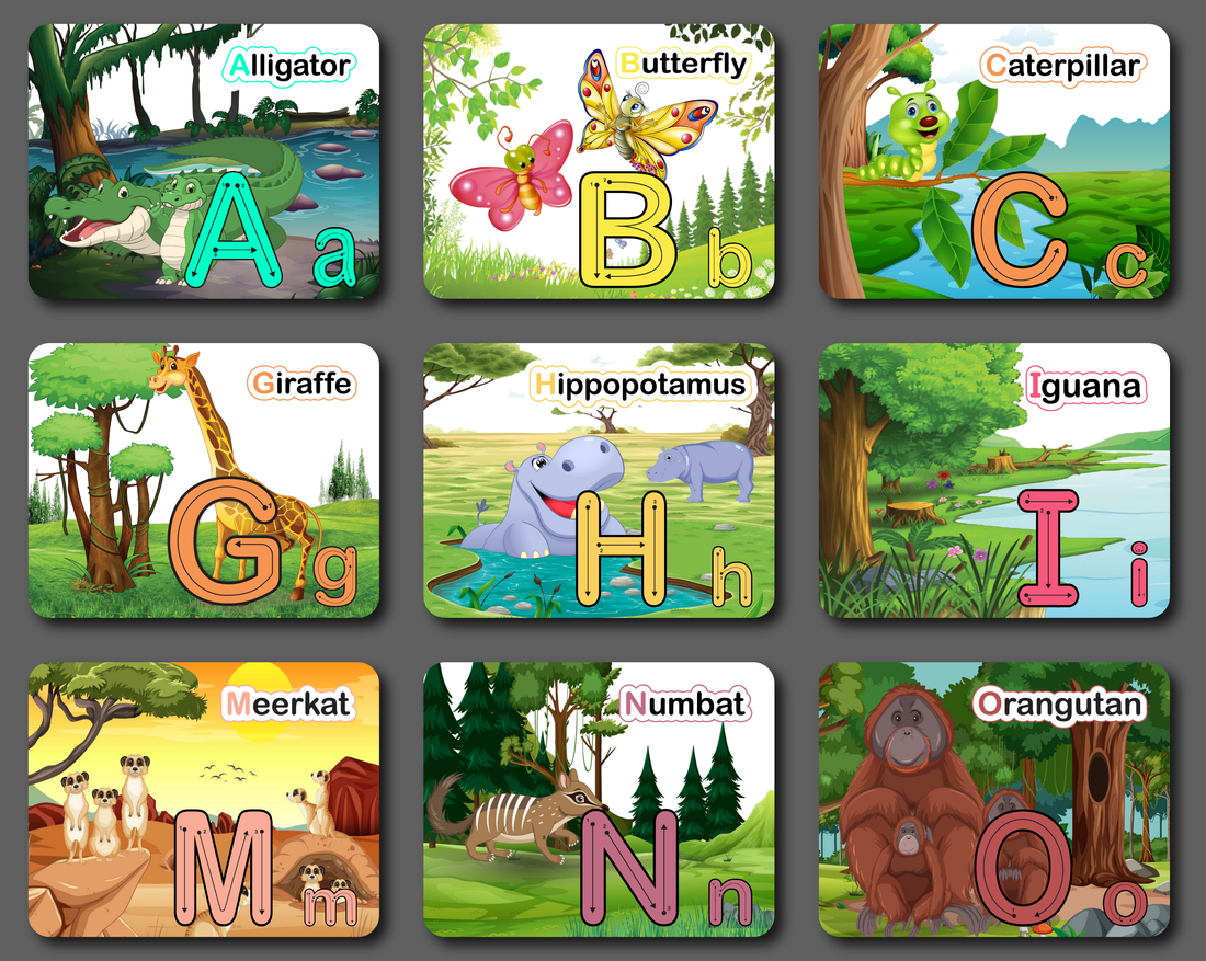 Starting Word Sounds, Letter and Number Recognition