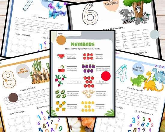 Trace, Spot, and Count Number Worksheets